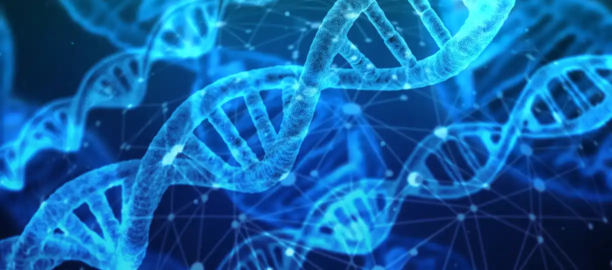 Epigenetik in der Hautpflege: Wie das Epigenetic Stammzell Serum von GENEVIEVE Deine Haut revolutioniert