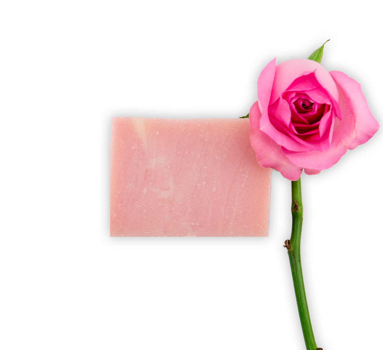 Rosen-Seife9xW9CaEha18Ta