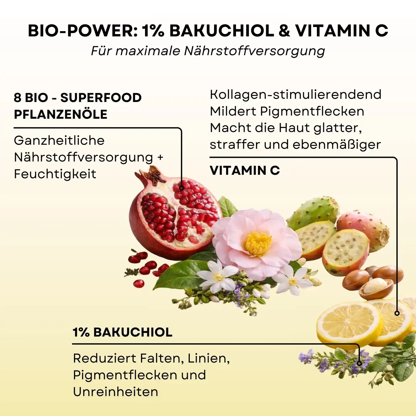 Bakuchiol Deluxe &amp; Vit C
