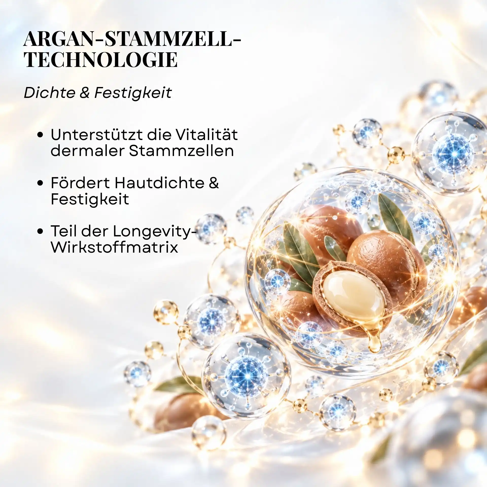 EpiGenetic Time Reverse Stem Cell Serum