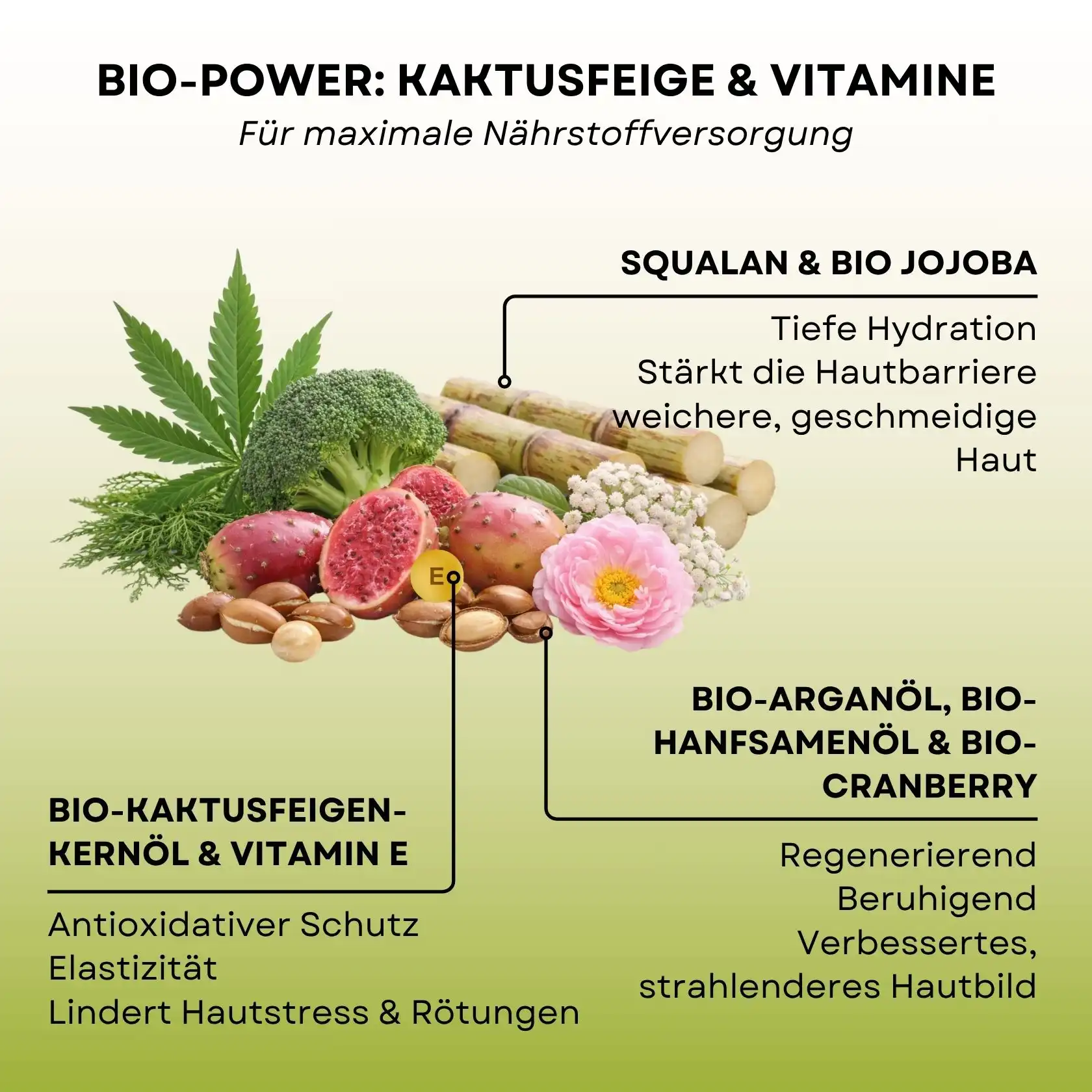 Botanical Dreams MINI 5ML