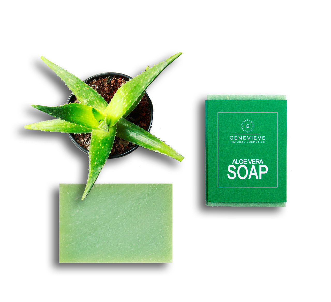 Aloevera-Seife-NEU Aloe Vera Seife