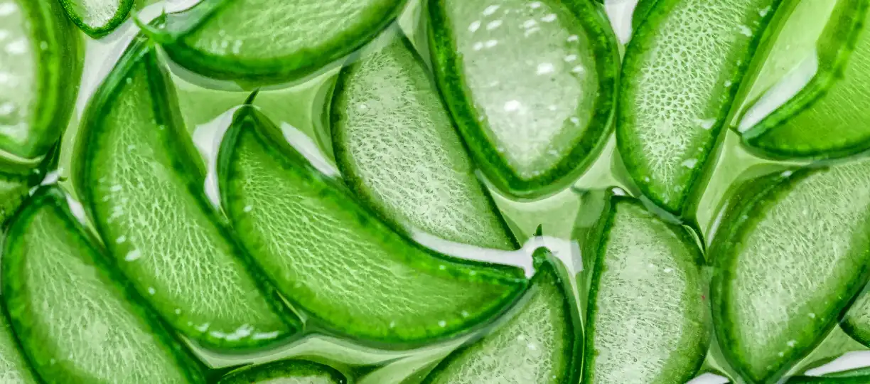 Aloe Vera Gel DIY Aloe Vera Gel DIY