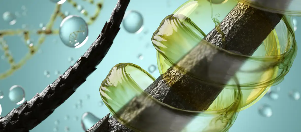 Anleitung für eine saure Rinse / Essigspülung für Deine Haare Anleitung für eine saure Rinse / Essigspülung für Deine Haare